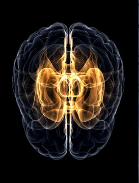 Psychologists in Longview - Side Image 1